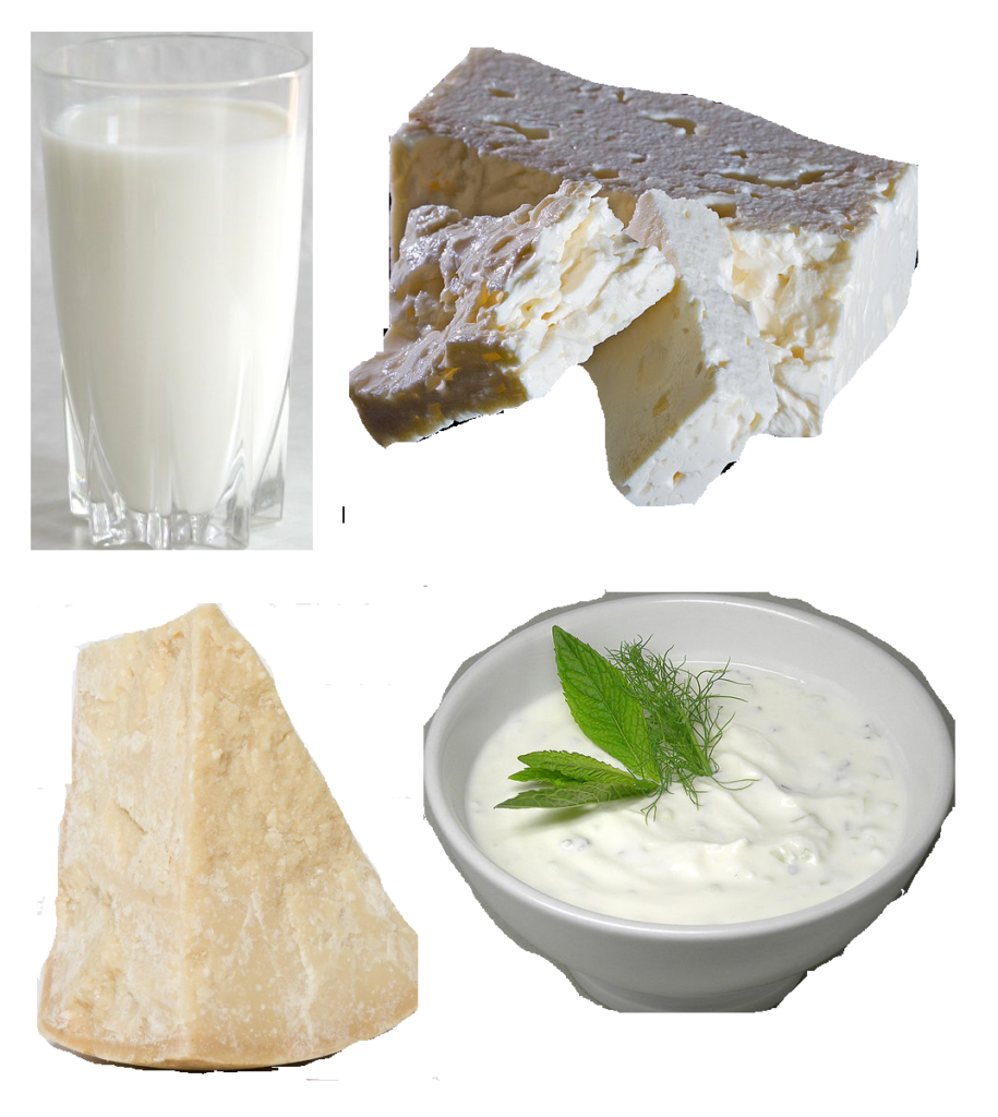 Yoghurt, cheese, and milk 